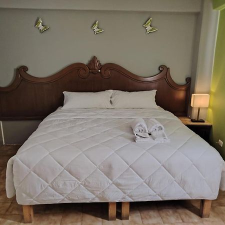 Cabo Tortuga Hotel Boutique Cabo San Lucas Eksteriør billede